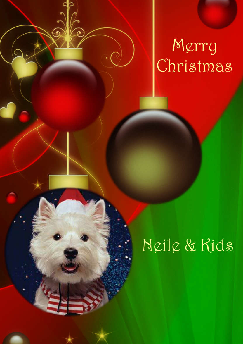 Red and Green Vintage Ornament Christmas Photo Card - card made with Crafty Bob's Card Creator