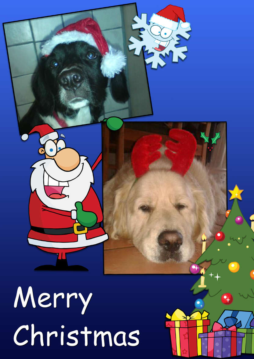 Santa Holding Photo Card - card made with Crafty Bob's Card Creator