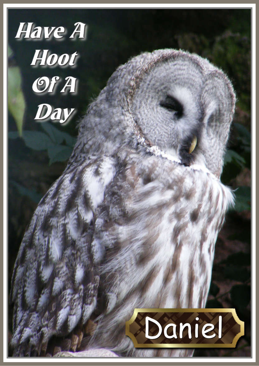 Have a Hoot of a Day - card made with Crafty Bob's Card Creator