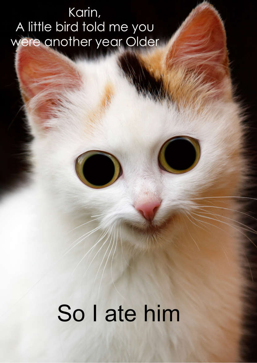 Mischievous Cat Humorous Card Front - card made with Crafty Bob's Card Creator