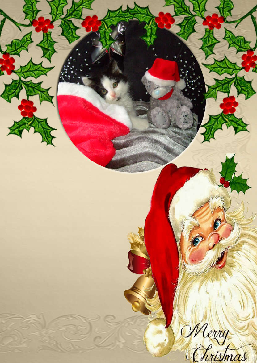 Christmas Photo Card with Santa - card made with Crafty Bob's Card Creator