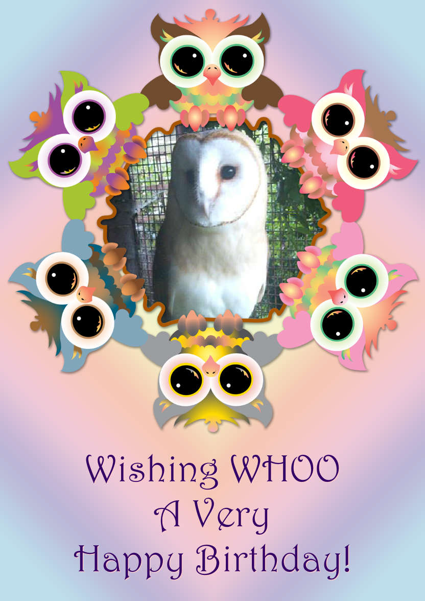 Cute Owl Frame Photo Card - card made with Crafty Bob's Card Creator