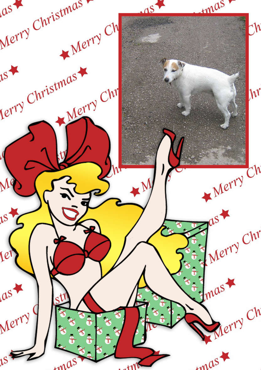 Sexy Cartoon Pin Up Christmas Aperture Card - card made with Crafty Bob's Card Creator