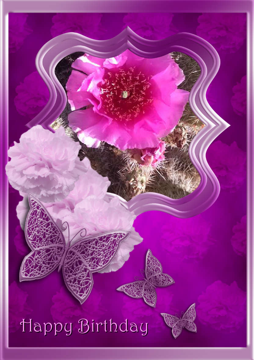 Pink Carnations and Butterflies - card made with Crafty Bob's Card Creator