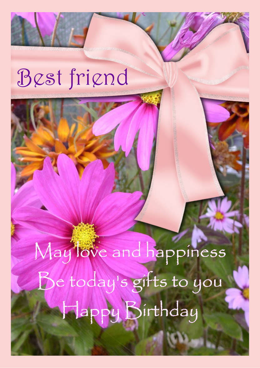 Pink Cosmos Daisies - card made with Crafty Bob's Card Creator