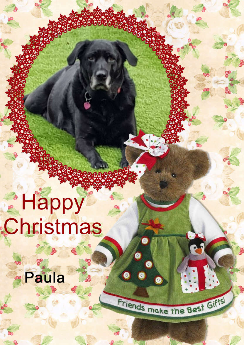 Christmas Teddy - card made with Crafty Bob's Card Creator