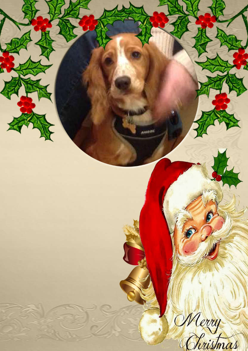 Christmas Photo Card with Santa - card made with Crafty Bob's Card Creator