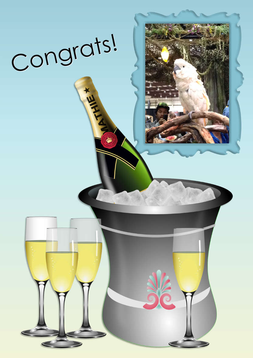 Congratulations Aperture Photo Card - card made with Crafty Bob's Card Creator