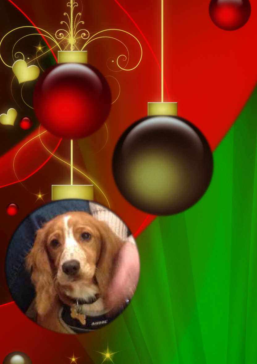 Red and Green Vintage Ornament Christmas Photo Card - card made with Crafty Bob's Card Creator
