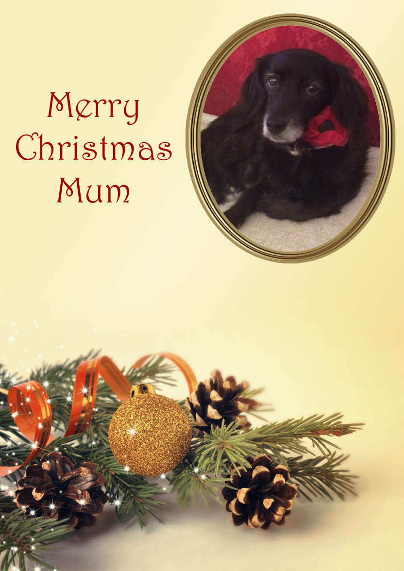 Christmas Pine Cones Aperture Card - card made with Crafty Bob's Card Creator