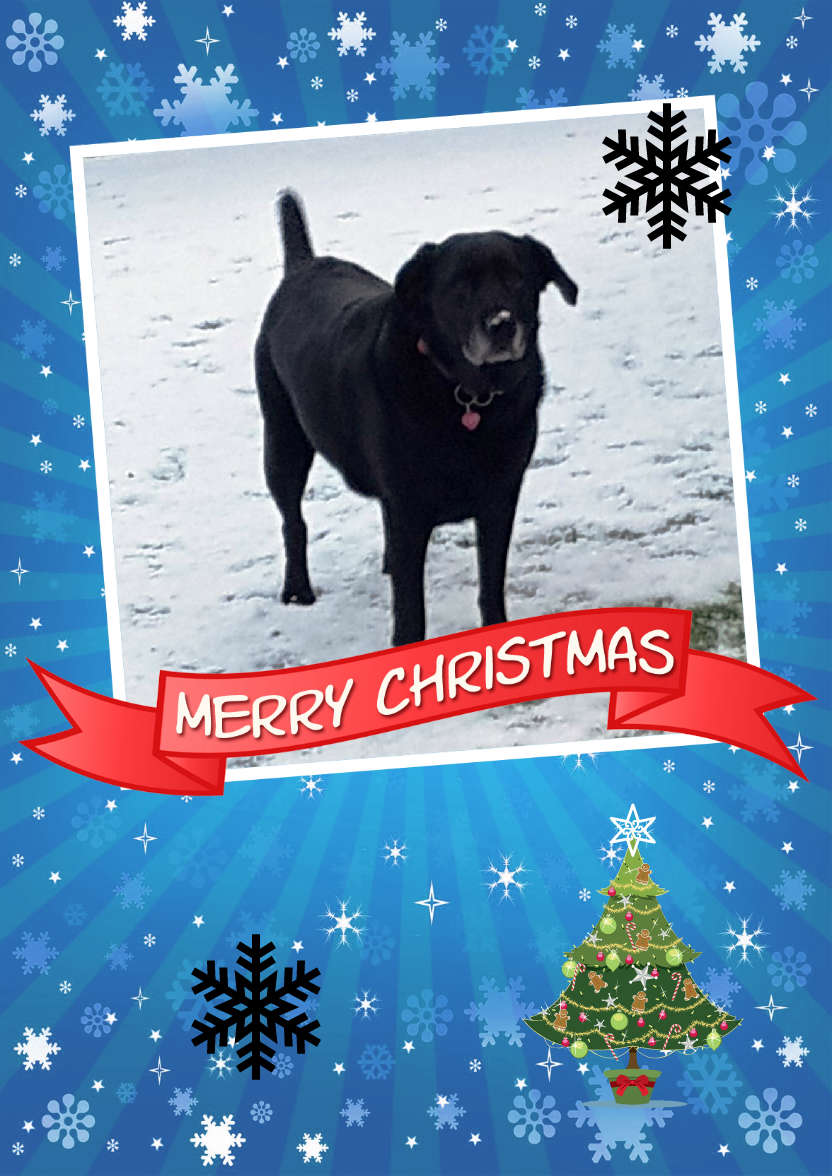 Christmas Family Photo Card - card made with Crafty Bob's Card Creator