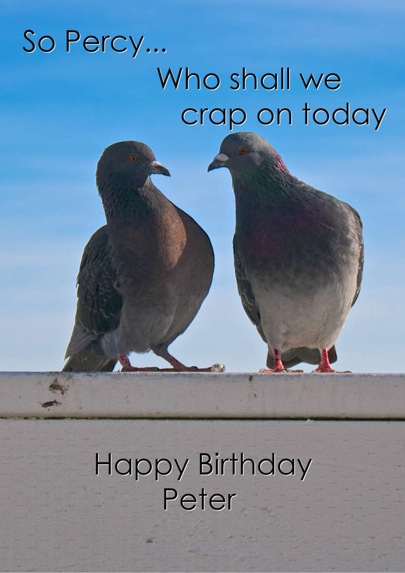 Pigeon Plans Humorous Card Front - card made with Crafty Bob's Card Creator