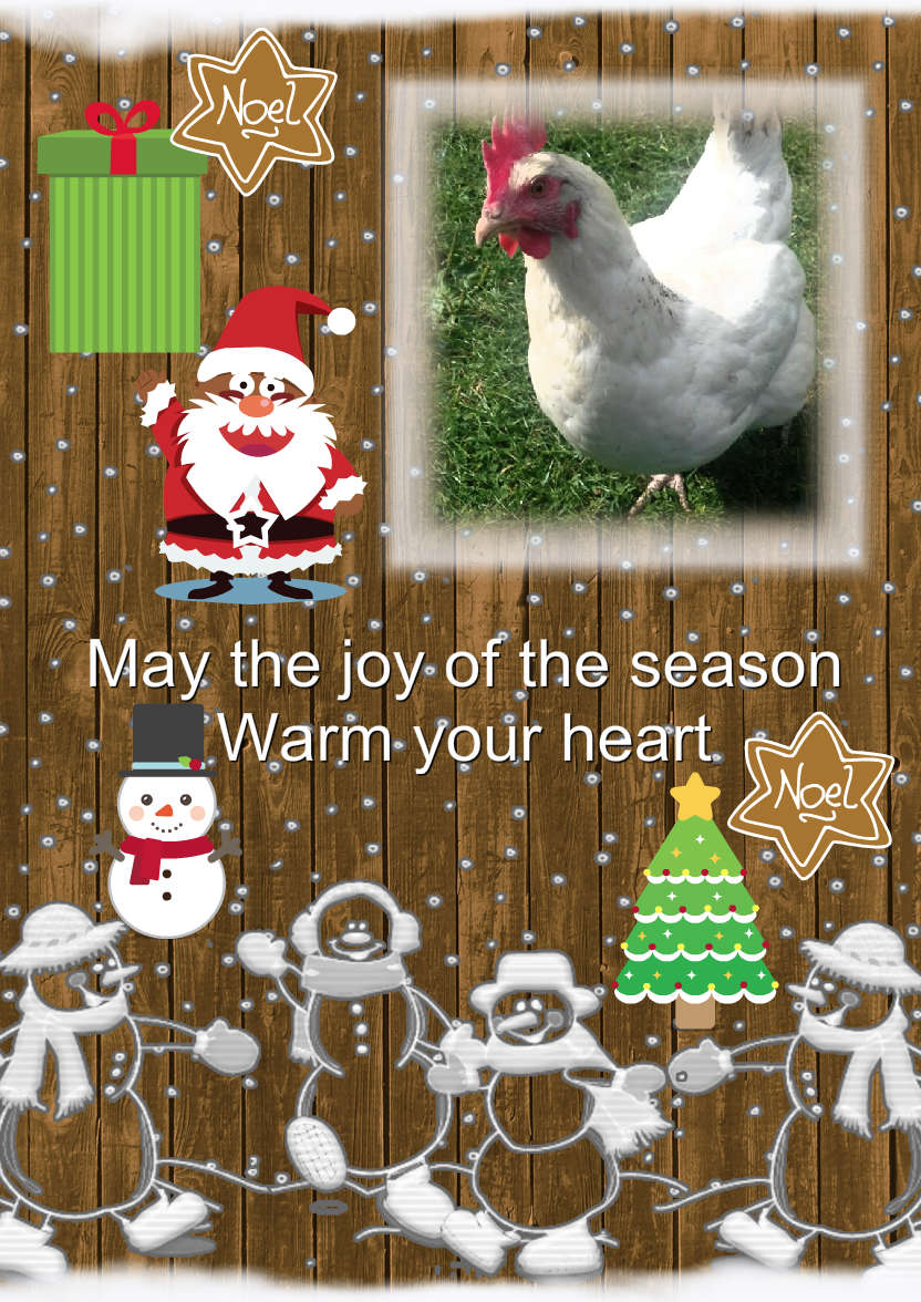 Wooden Snowman Aperture Card - card made with Crafty Bob's Card Creator