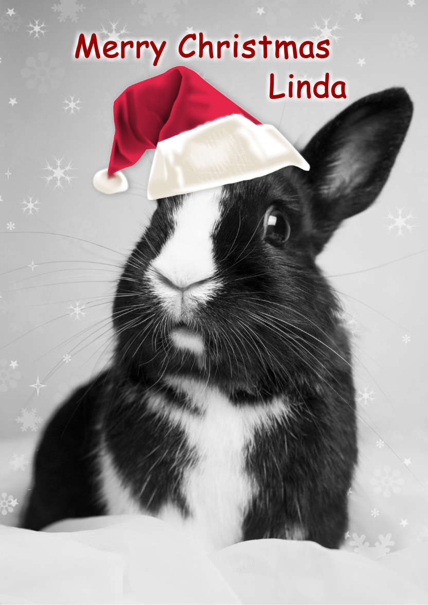 Christmas Bunny - card made with Crafty Bob's Card Creator