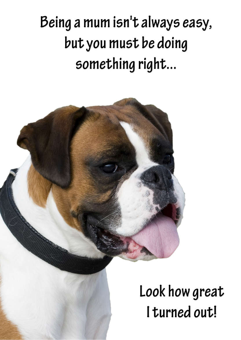 Boxer Card - card made with Crafty Bob's Card Creator