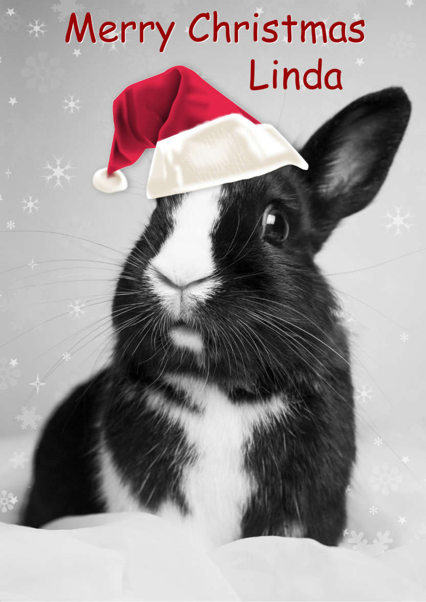 Christmas Bunny - card made with Crafty Bob's Card Creator