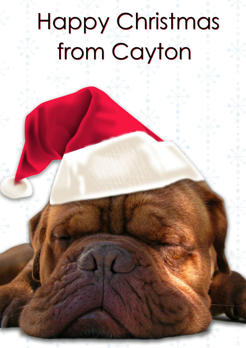 Sleeping Dog Christmas Card - card made with Crafty Bob's Card Creator