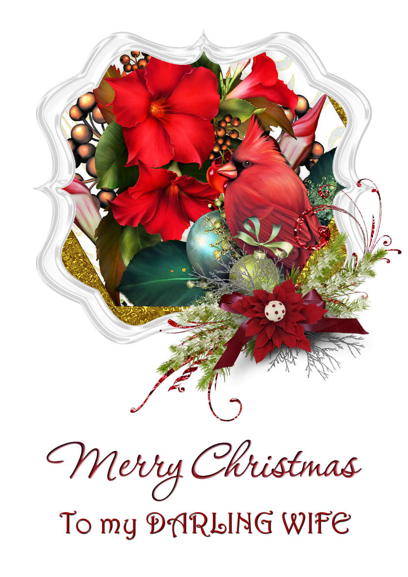 Frosted Poinsettia Frame - card made with Crafty Bob's Card Creator