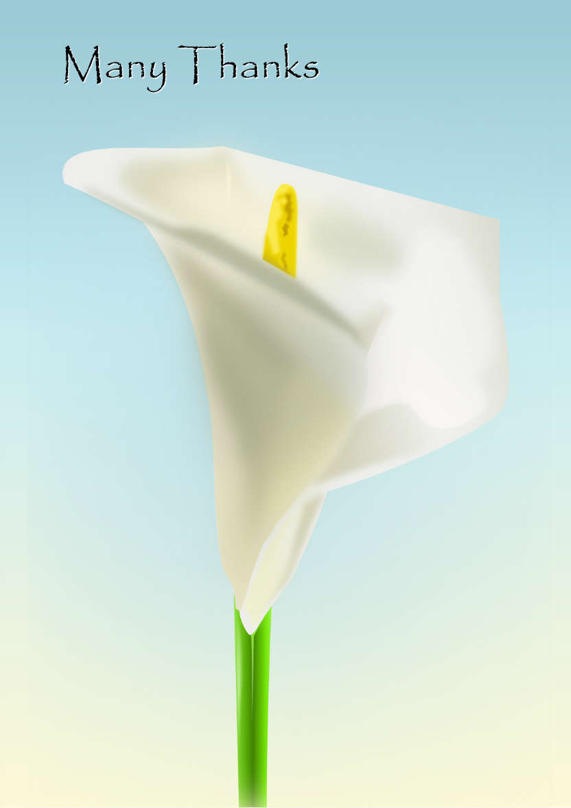 Single Calla Lily Sympathy Card - card made with Crafty Bob's Card Creator