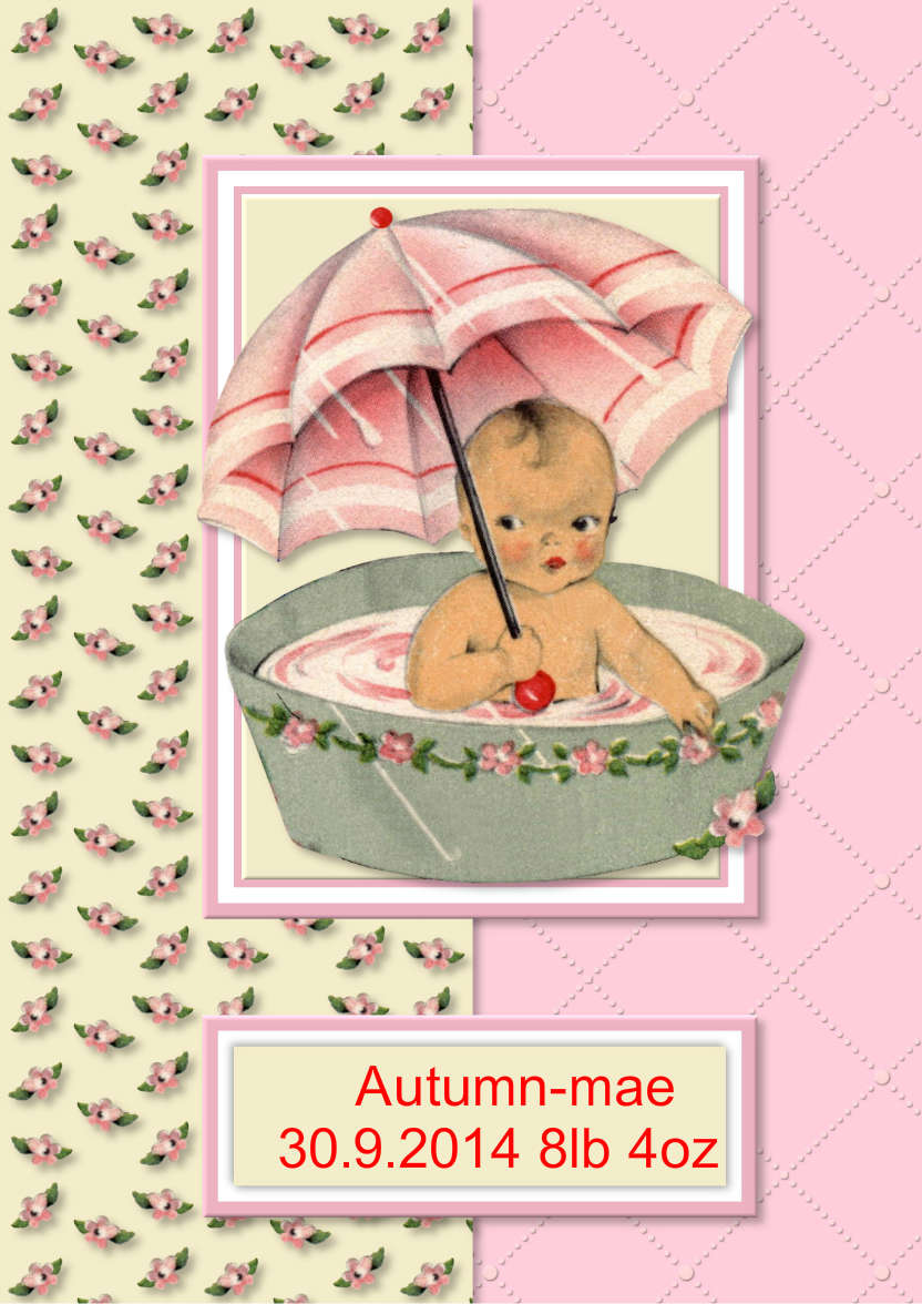 Baby Girl in Tub - card made with Crafty Bob's Card Creator