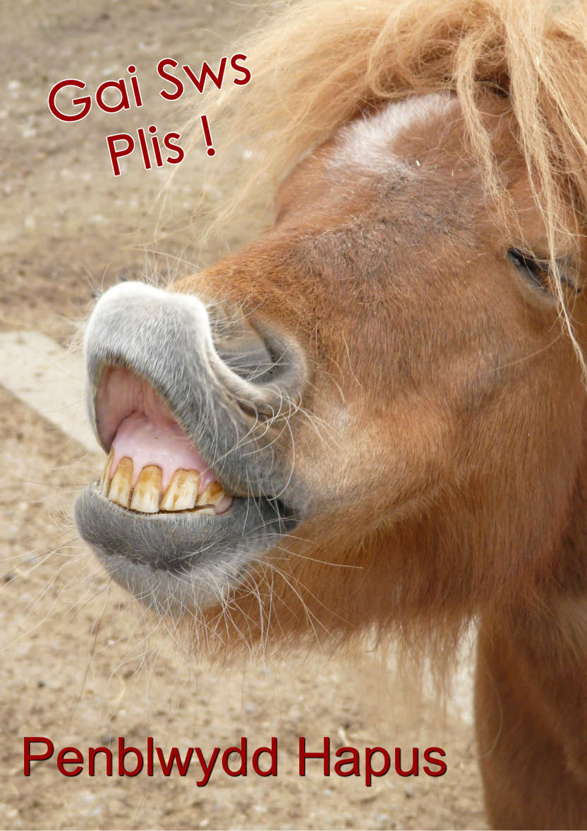 Horse Kiss Humorous Card Front - card made with Crafty Bob's Card Creator