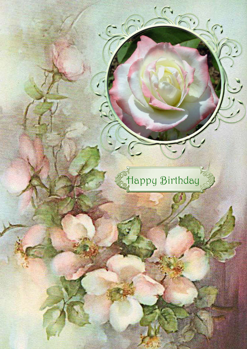 Wild Roses - card made with Crafty Bob's Card Creator