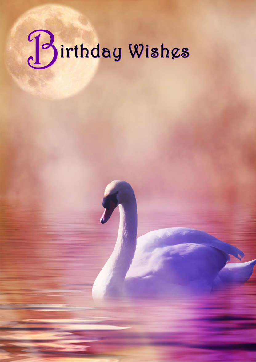Stunning Swan Card - card made with Crafty Bob's Card Creator