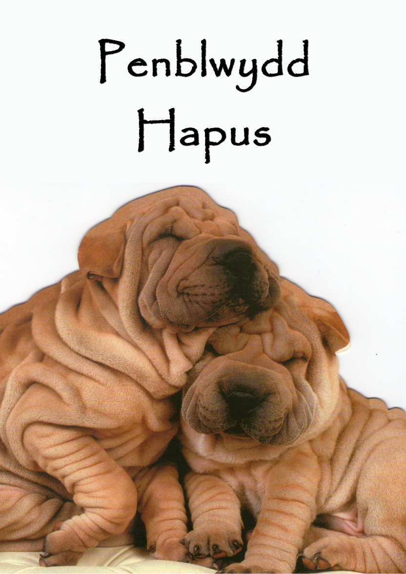 Chinese Shar-pei Cuddle Card - card made with Crafty Bob's Card Creator