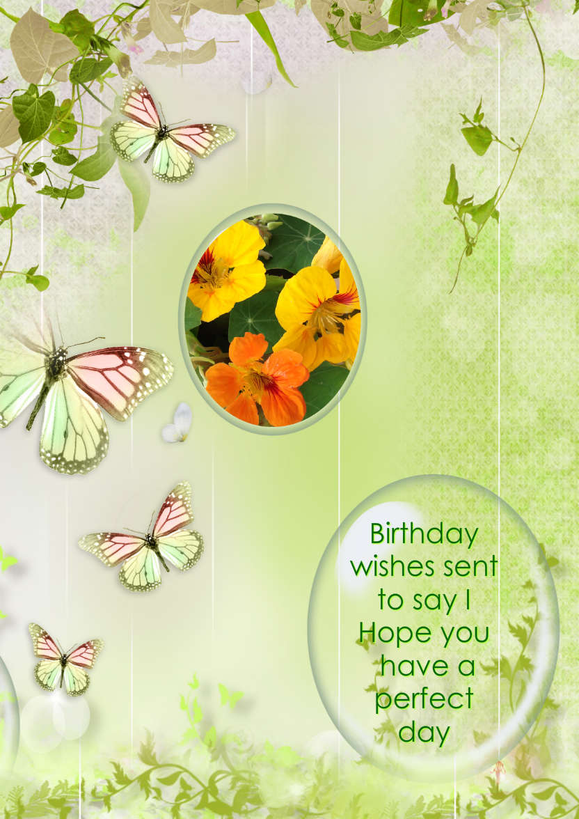 Butterfly Greeting Card - card made with Crafty Bob's Card Creator