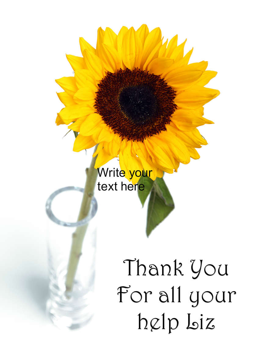 Solitary Sunflower Card Front - card made with Crafty Bob's Card Creator