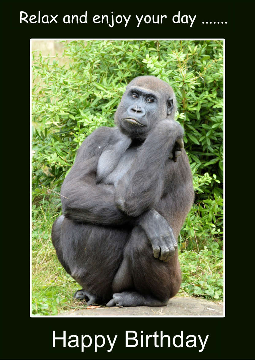 Forgetful Gorilla Humorous Card Front - card made with Crafty Bob's Card Creator