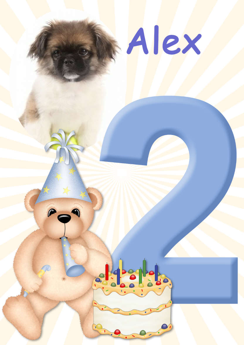Birthday Bear Age 2 Card Boy - card made with Crafty Bob's Card Creator