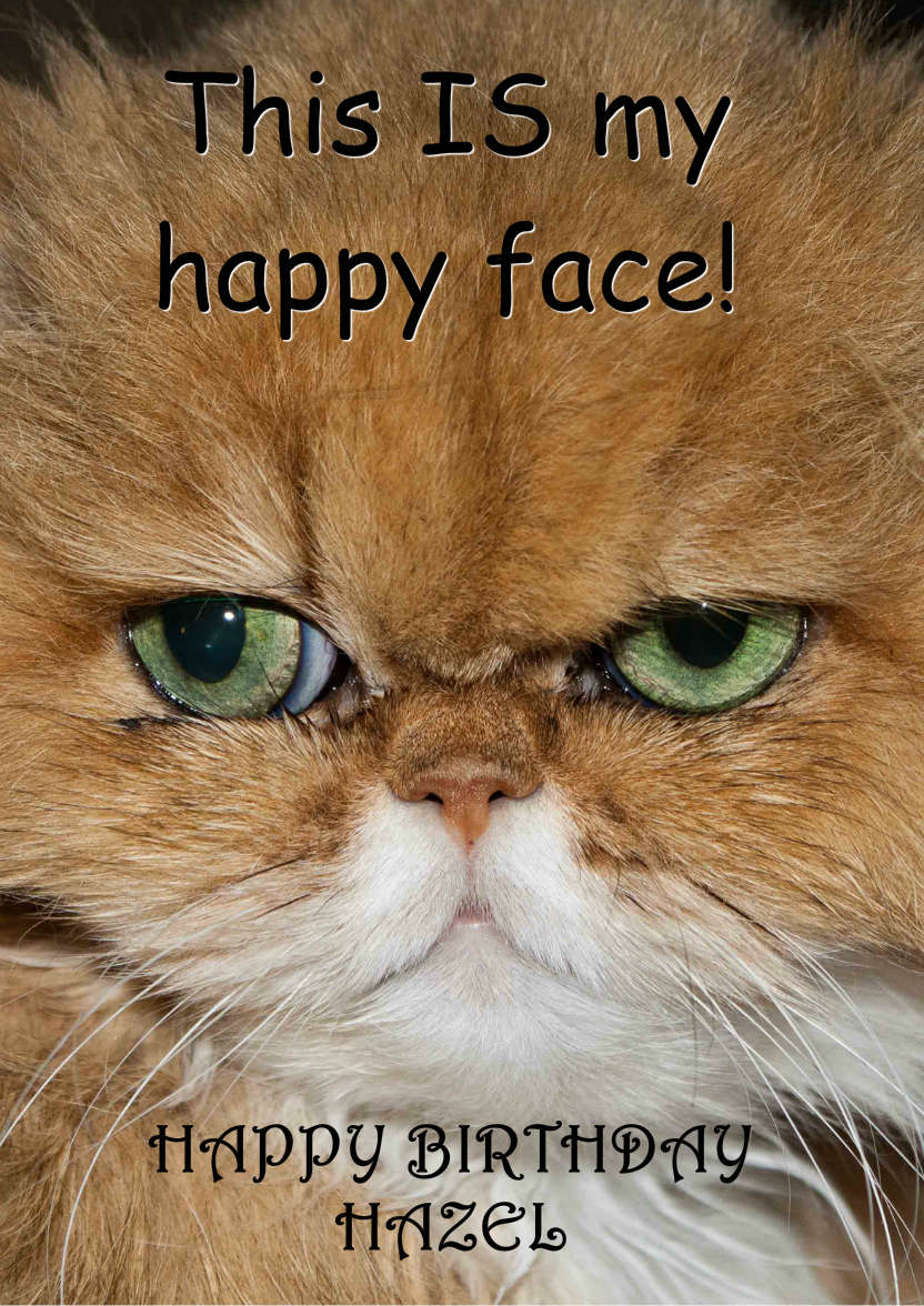Grumpy Cat Humorous Card Front - card made with Crafty Bob's Card Creator