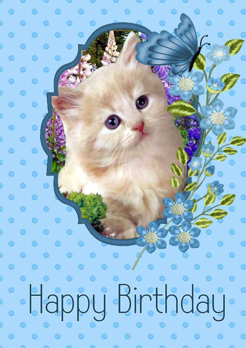 Birthday Blues - card made with Crafty Bob's Card Creator