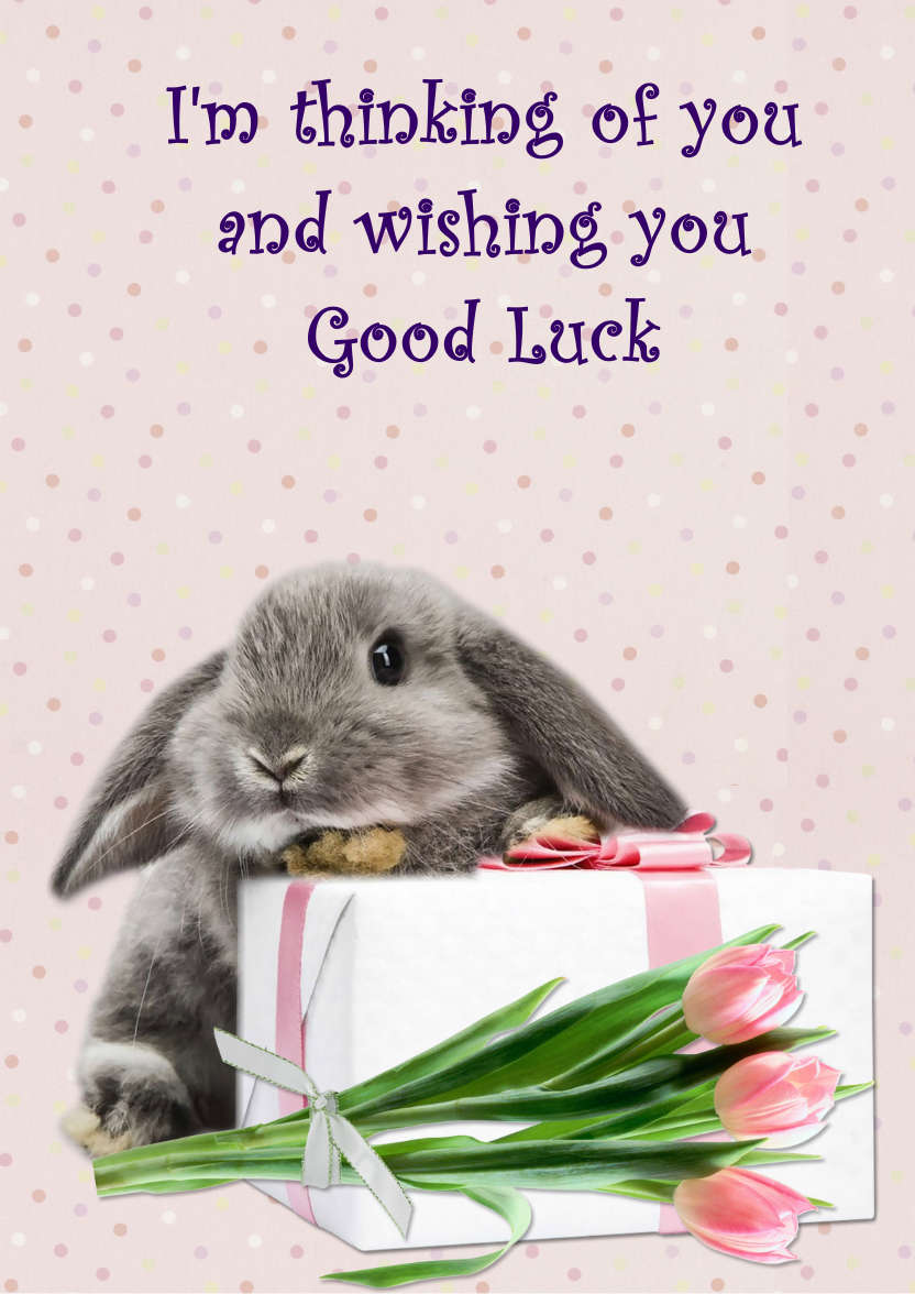 Some Bunny Birthday - card made with Crafty Bob's Card Creator