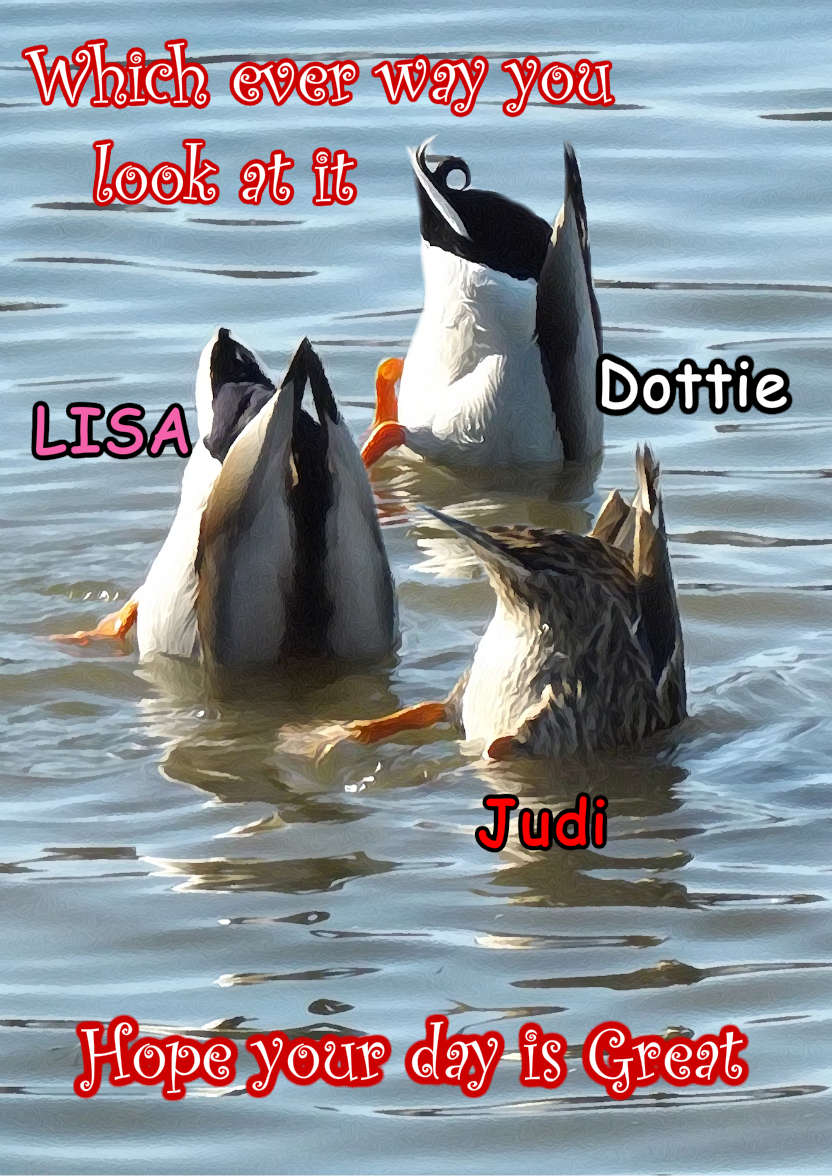 Ducks Swimming Humourous Card - card made with Crafty Bob's Card Creator