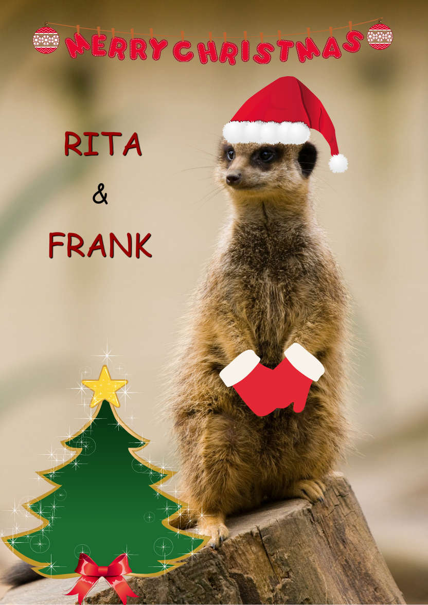 Meerkat Thank You Card Front - card made with Crafty Bob's Card Creator
