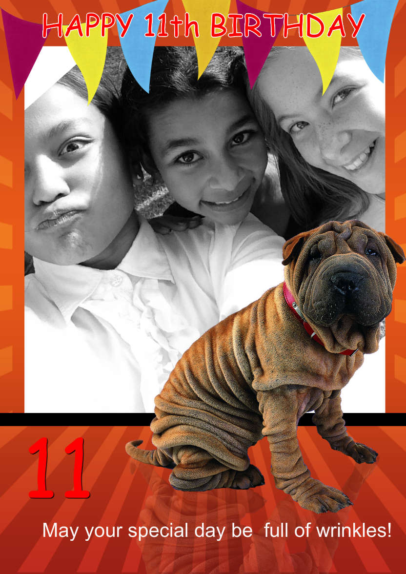 Fun Happy Wrinkly Shar Pei Dog, Photo Card - card made with Crafty Bob's Card Creator