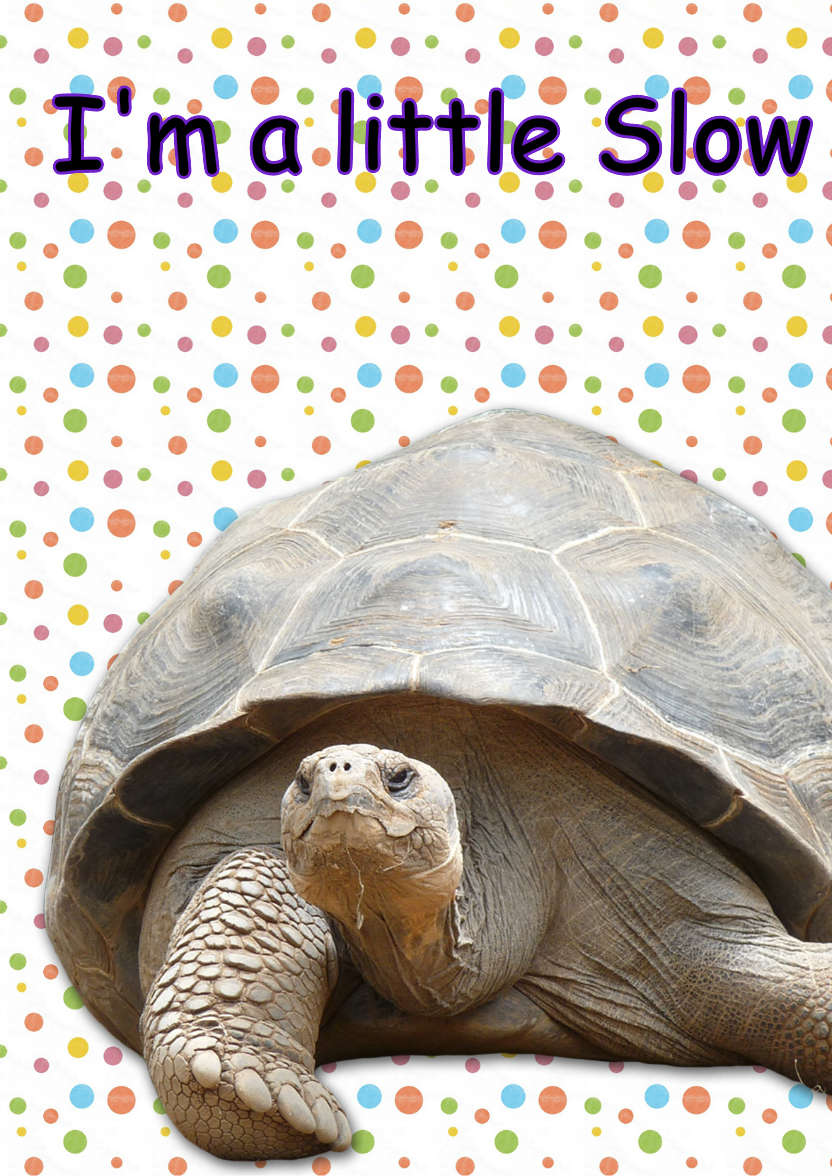 Sorry I'm Late Tortoise Card - card made with Crafty Bob's Card Creator