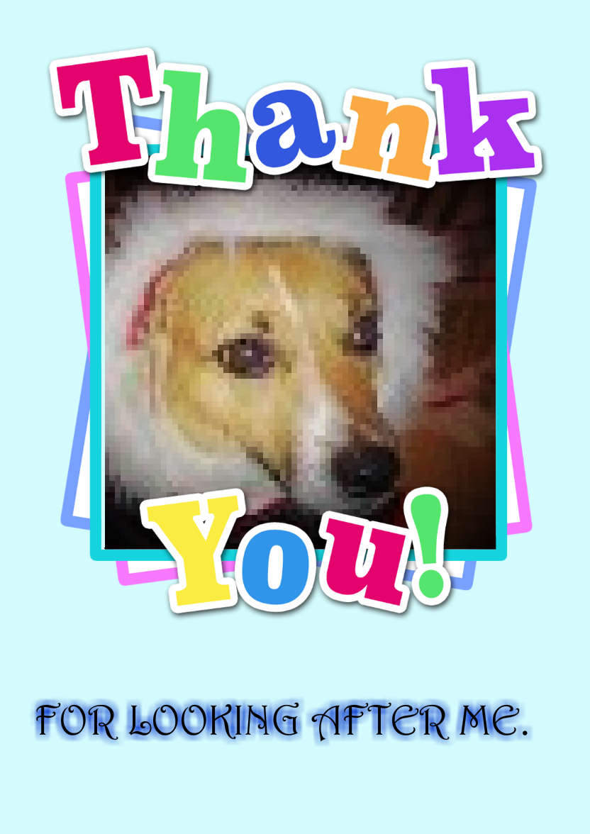 Thank You Aperture Card Front - card made with Crafty Bob's Card Creator