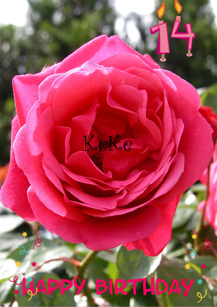 Rose Etude - card made with Crafty Bob's Card Creator