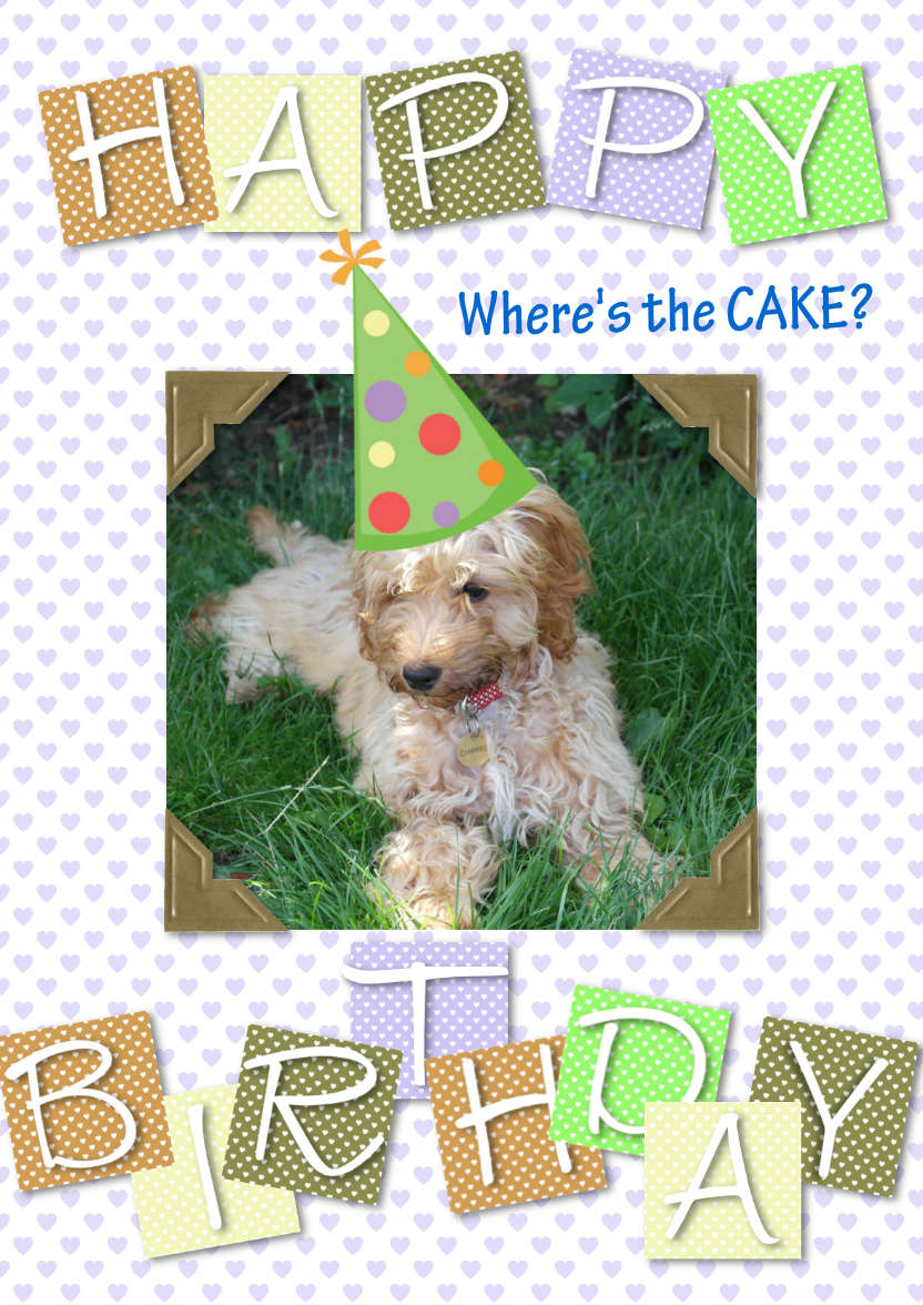 Cute Birthday - card made with Crafty Bob's Card Creator