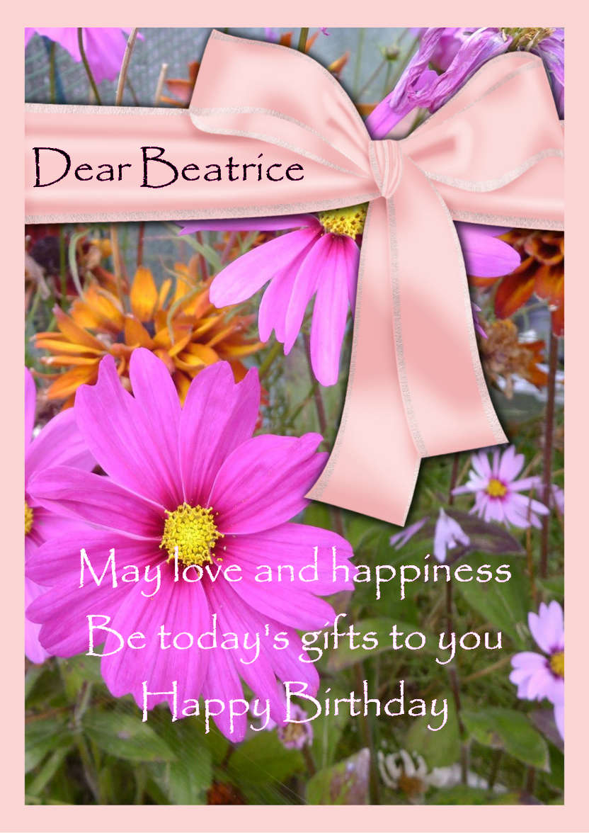 Pink Cosmos Daisies - card made with Crafty Bob's Card Creator