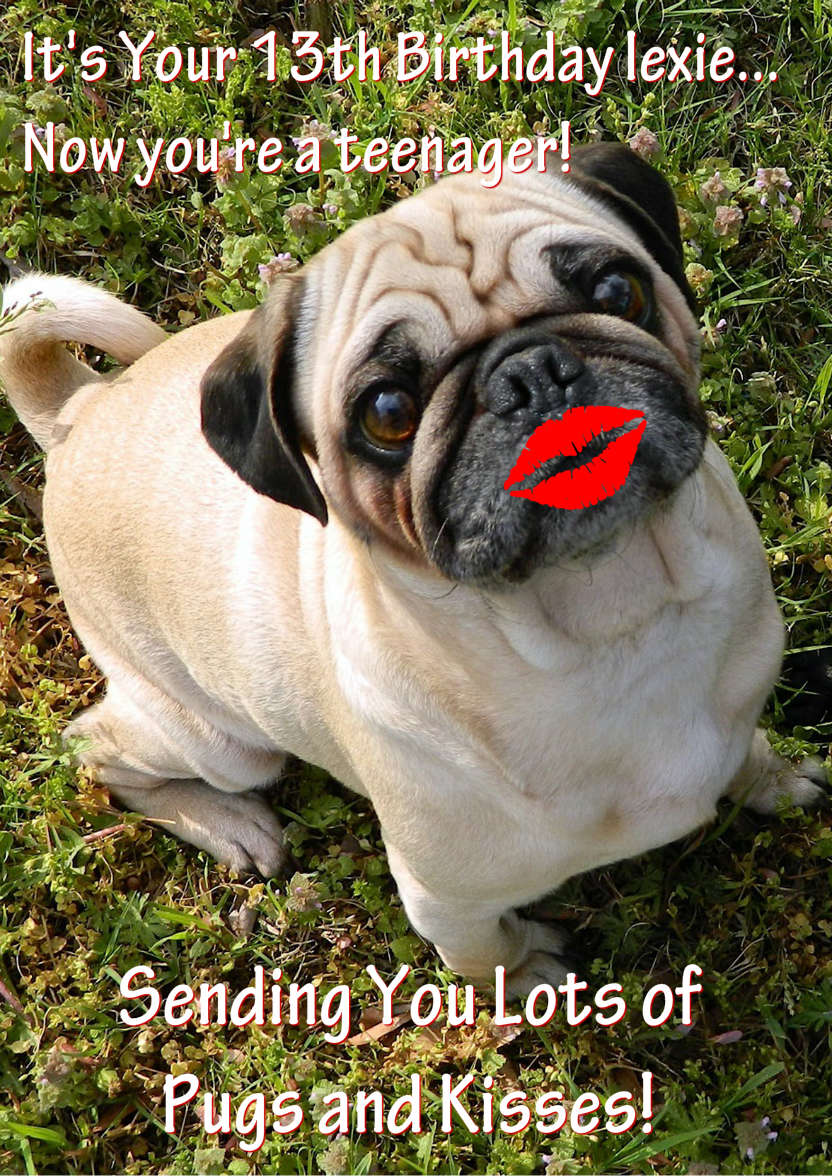 Pugs and Kisses Cute Card Front - card made with Crafty Bob's Card Creator