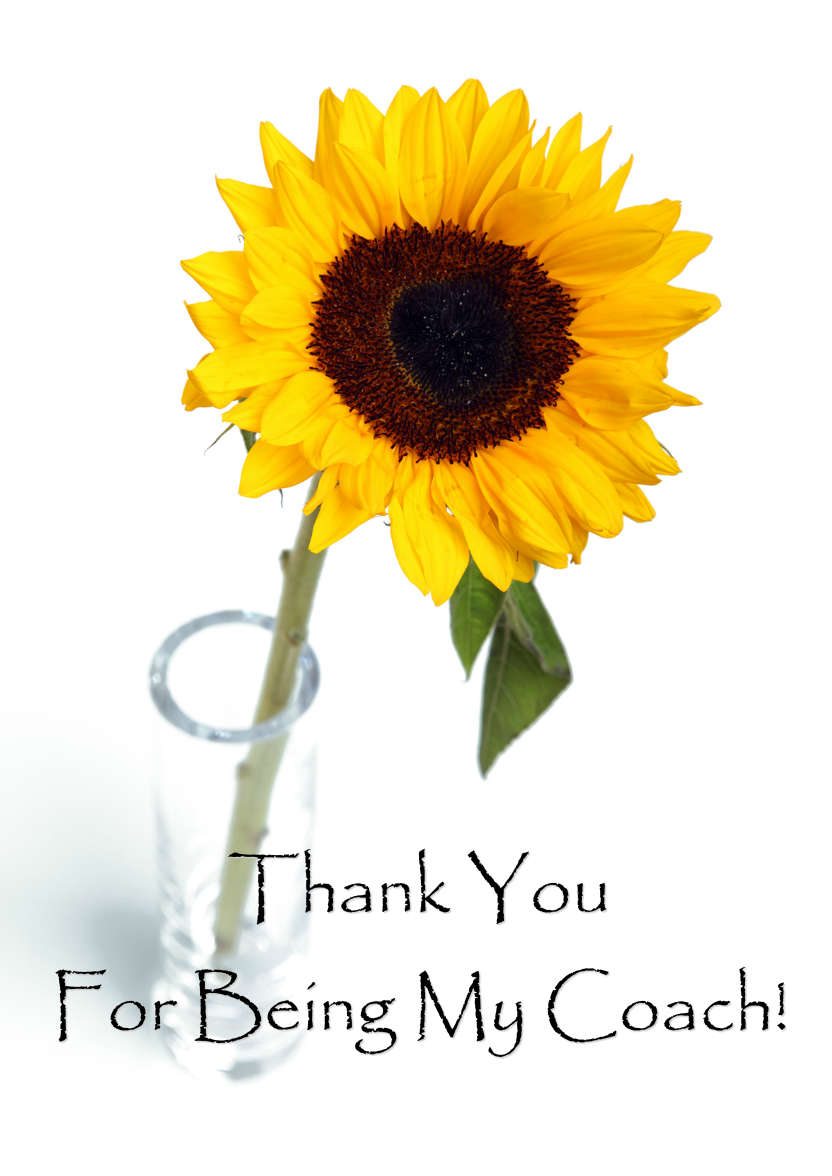 Solitary Sunflower Card Front - card made with Crafty Bob's Card Creator
