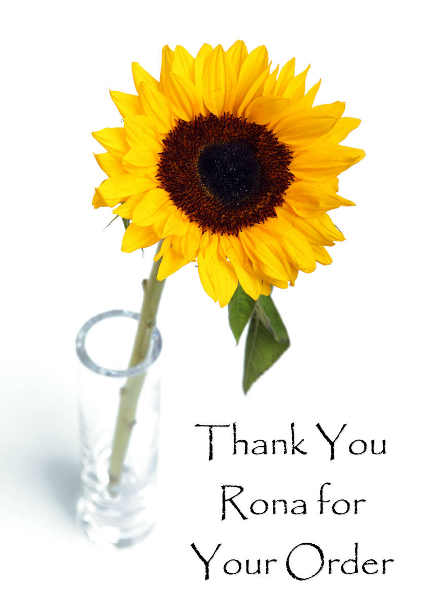 Solitary Sunflower Card Front - card made with Crafty Bob's Card Creator