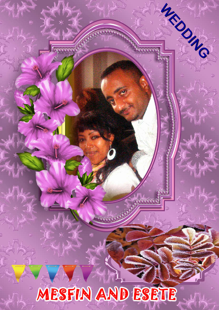 Pink Petunias - card made with Crafty Bob's Card Creator