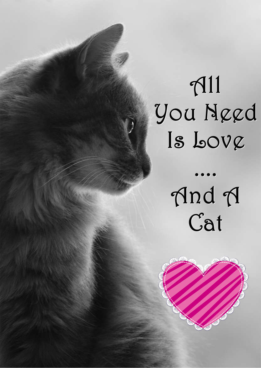 Cat Profile Card - card made with Crafty Bob's Card Creator