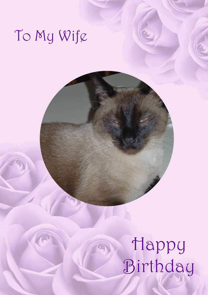 Purple Roses Background - card made with Crafty Bob's Card Creator