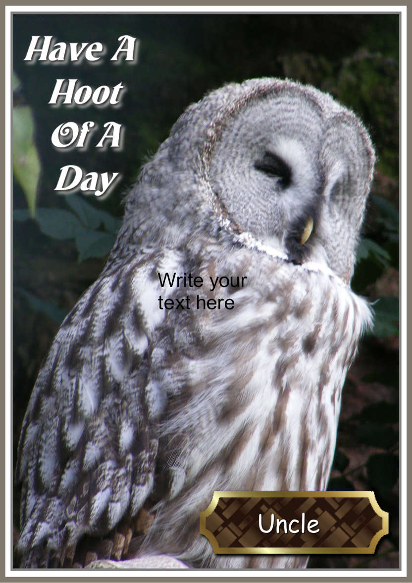 Have a Hoot of a Day - card made with Crafty Bob's Card Creator